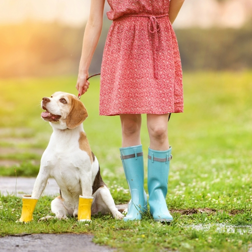 dog with girl